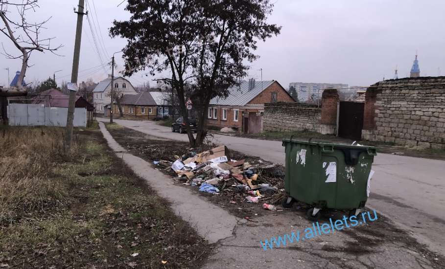 В ходе общественного экологического рейда сегодня выявлены новые очаги мусора в Ельце