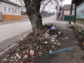 В ходе общественного экологического рейда сегодня выявлены новые очаги мусора в Ельце