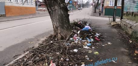 В ходе общественного экологического рейда сегодня выявлены новые очаги мусора в Ельце