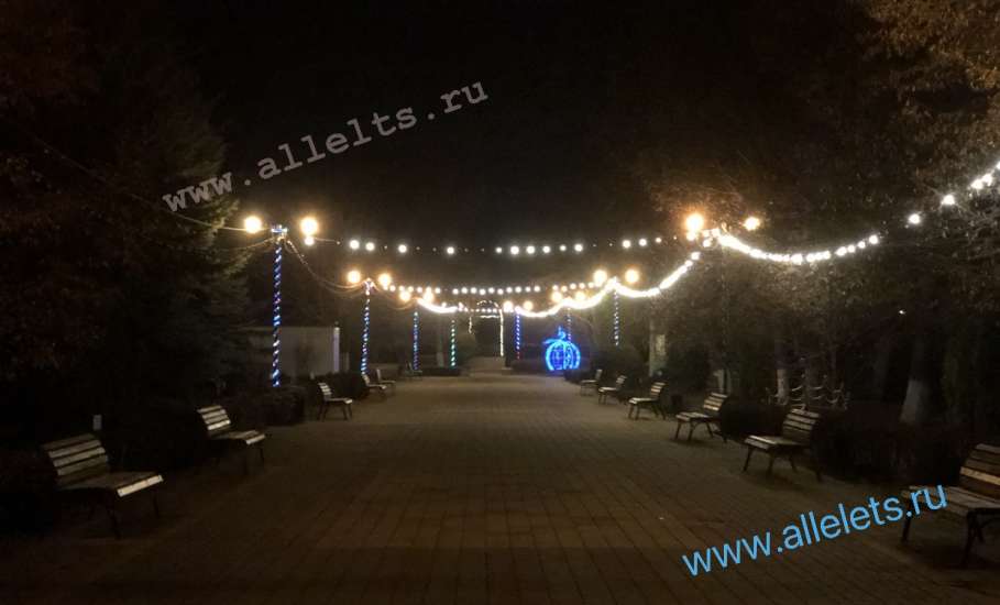 В Горсаду Ельца сегодня зажгли праздничную иллюминацию!