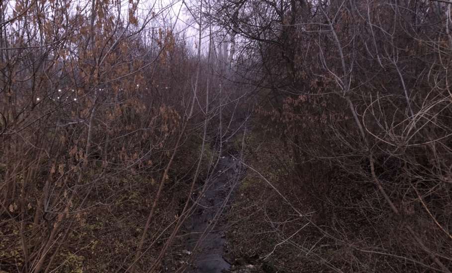В городе Ельце экологическая катастрофа. Пересох ручей Лучок!