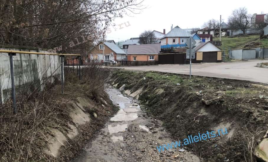 В городе Ельце экологическая катастрофа. Пересох ручей Лучок!