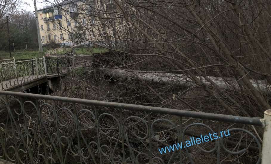 В городе Ельце экологическая катастрофа. Пересох ручей Лучок!