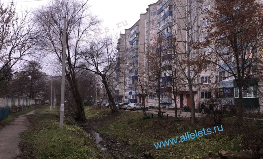 В городе Ельце экологическая катастрофа. Пересох ручей Лучок!