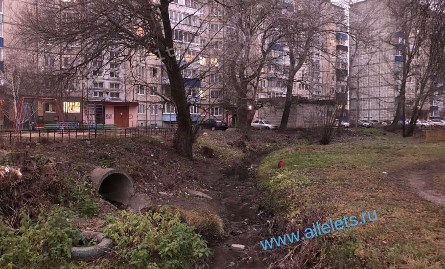 В городе Ельце экологическая катастрофа. Пересох ручей Лучок!