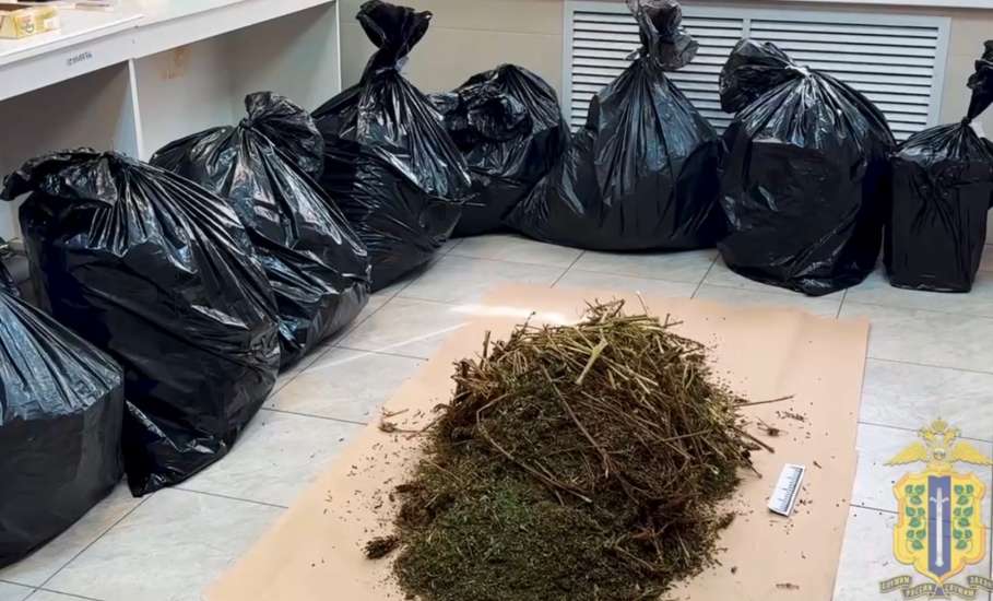 35 кг конопли накопил житель Липецкой области! А спалился на краже