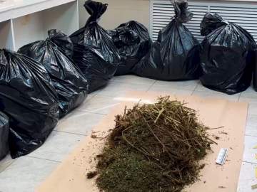 35 кг конопли накопил житель Липецкой области! А спалился на краже