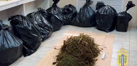 35 кг конопли накопил житель Липецкой области! А спалился на краже