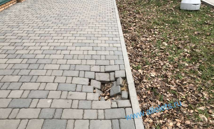 Студенты в Ельце грызут гранит науки, спотыкаясь на провалившейся тротуарной плитке!