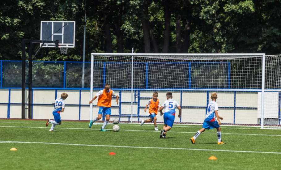 Липецкая область вошла в десятку лучших регионов по реализации госпрограммы «Спорт России»