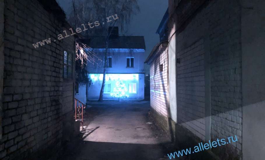 За украшение подъезда ельчанам могут выписать штраф!