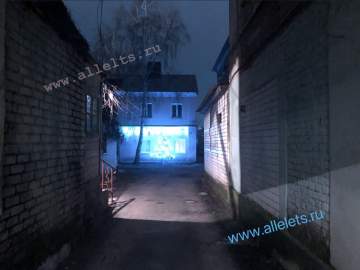 За украшение подъезда ельчанам могут выписать штраф!