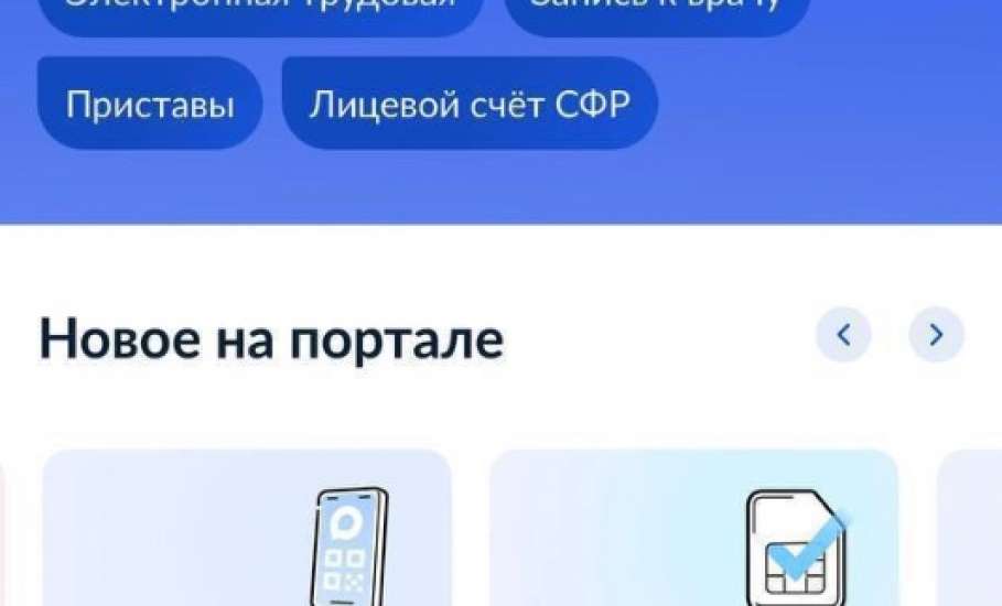 Вход на Госуслуги через MAX можно отключить