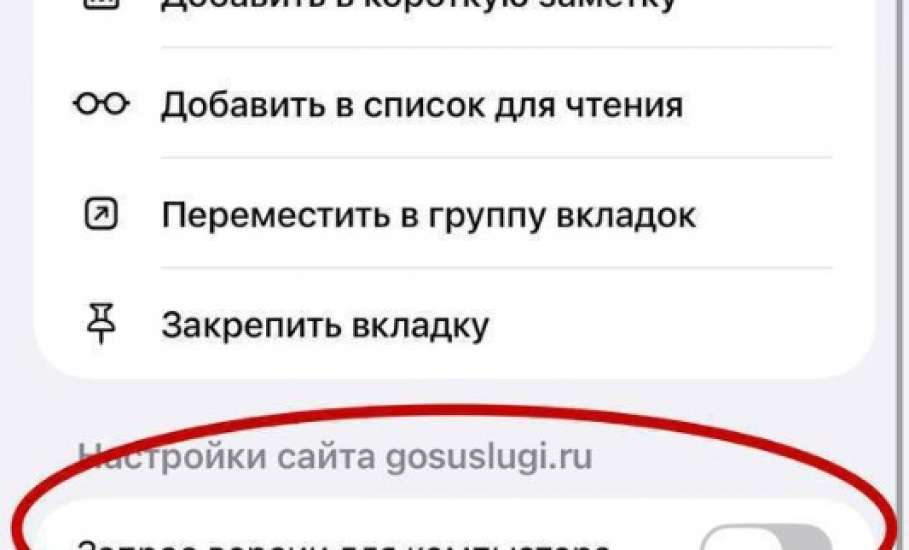 Вход на Госуслуги через MAX можно отключить