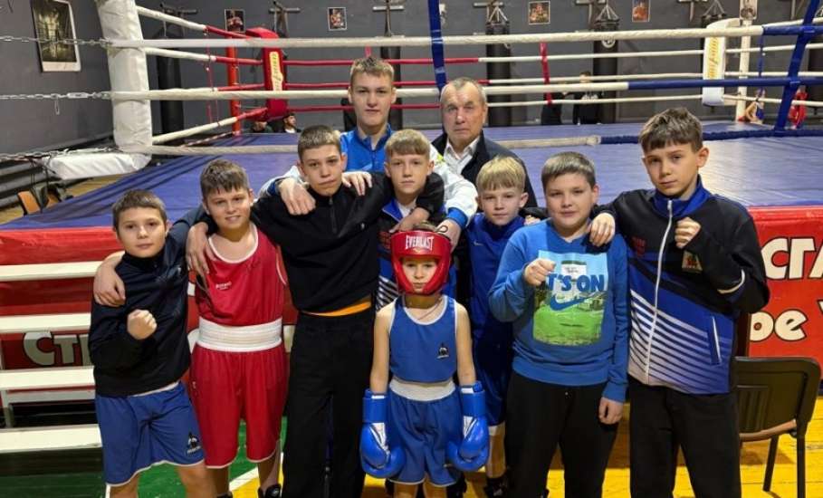 Елецкие боксёры привезли медали из Тамбова
