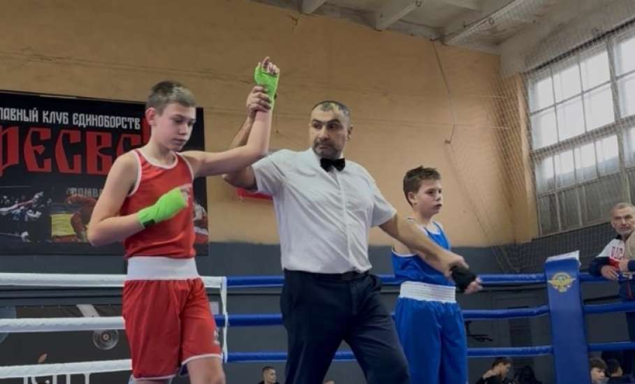 Елецкие боксёры привезли медали из Тамбова