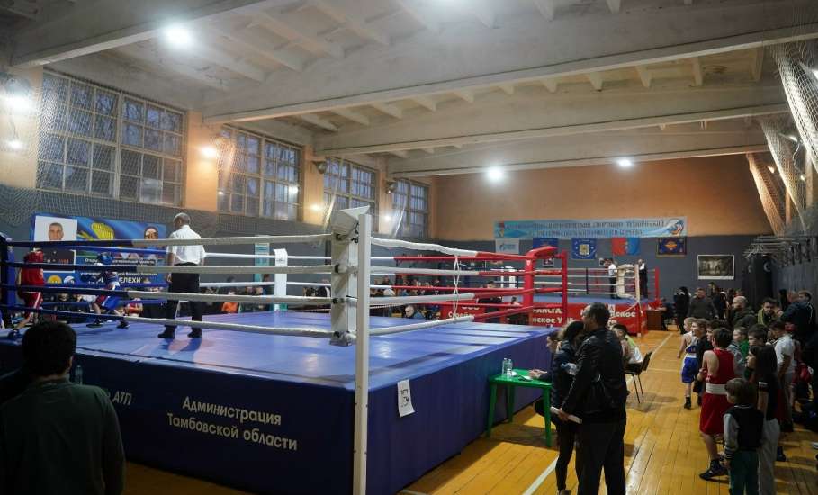 Елецкие боксёры привезли медали из Тамбова