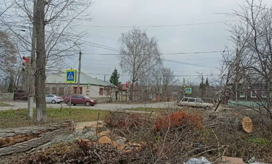В Ельце продолжают пилить тополя, оставляя одни обрубки!