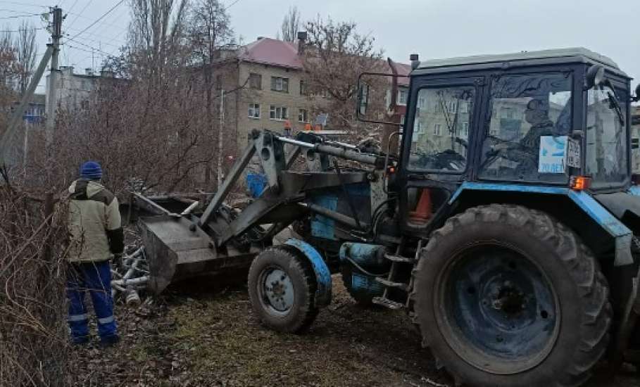 В Ельце продолжают пилить тополя, оставляя одни обрубки!