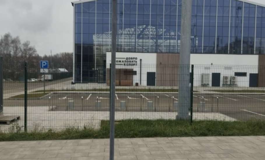 В Ельце продолжают пилить тополя, оставляя одни обрубки!