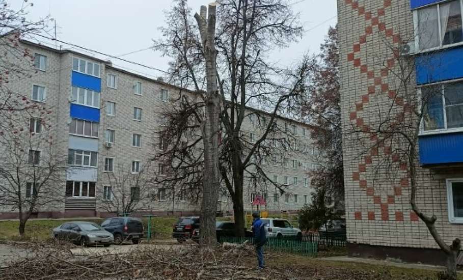 В Ельце продолжают пилить тополя, оставляя одни обрубки!