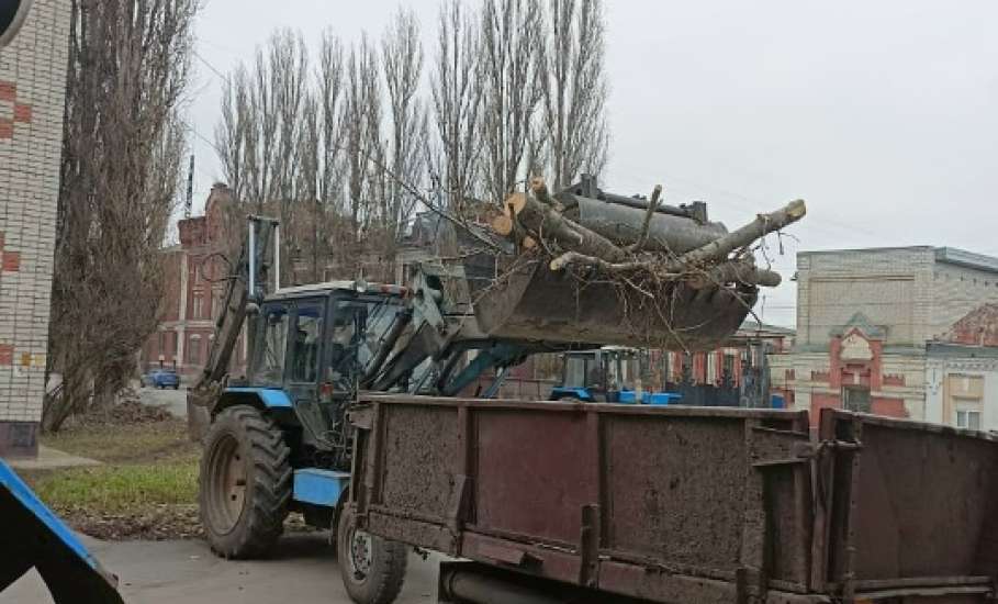 В Ельце продолжают пилить тополя, оставляя одни обрубки!