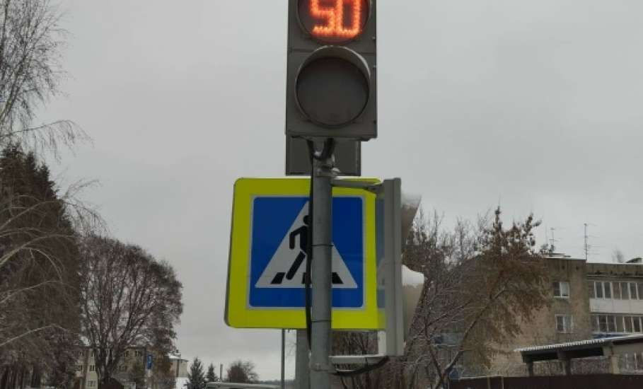 В Ельце продолжают спиливать тополи