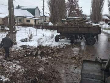 В Ельце продолжают спиливать тополи