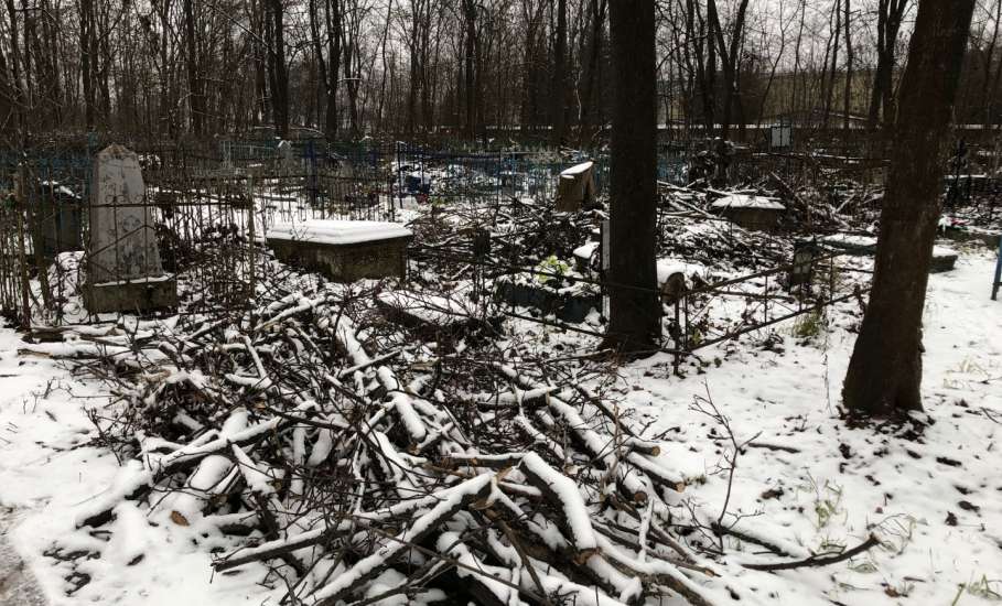 Городское кладбище Ельца: раскуроченные могилы и бурелом!
