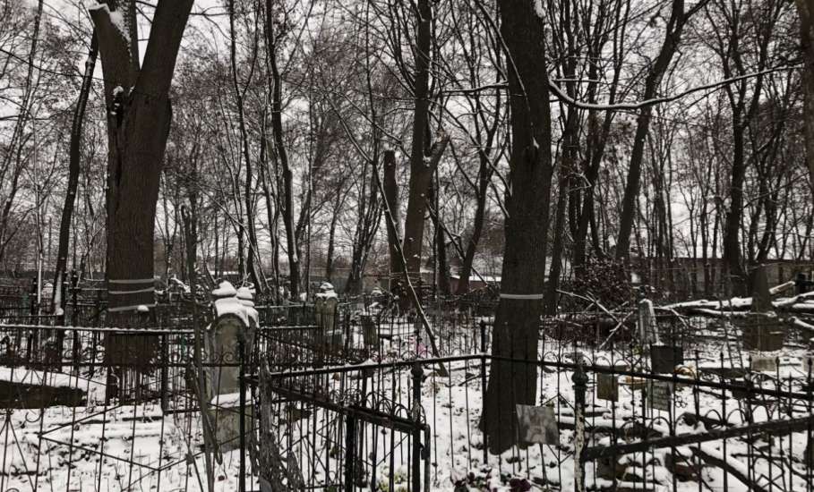 Городское кладбище Ельца: раскуроченные могилы и бурелом!