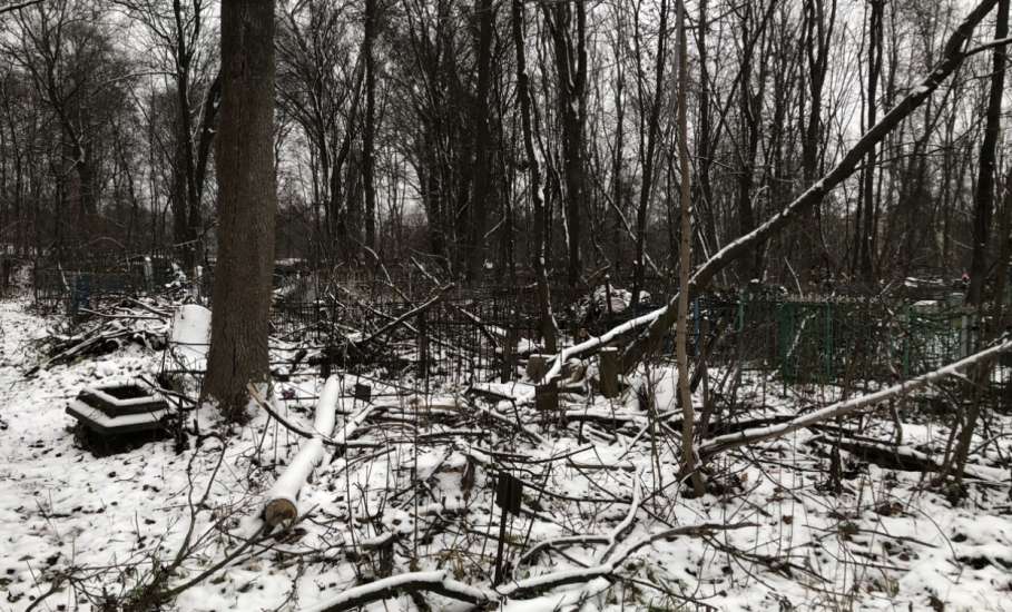 Городское кладбище Ельца: раскуроченные могилы и бурелом!