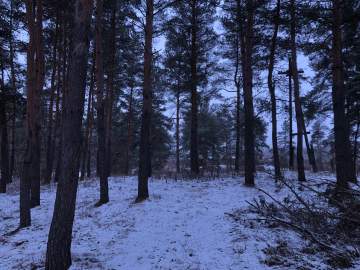 В Ельце ожидается снегопад и сильный ветер!