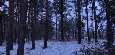 В Ельце ожидается снегопад и сильный ветер!