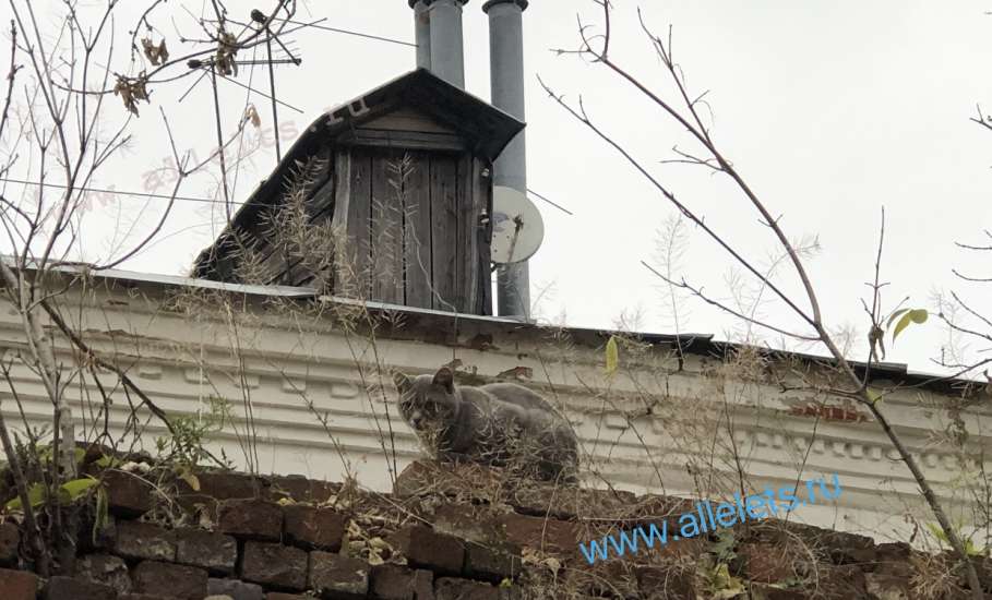 Россияне со следующего года будут платить за коммуналку на 18% больше!