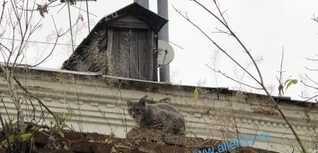 Россияне со следующего года будут платить за коммуналку на 18% больше!