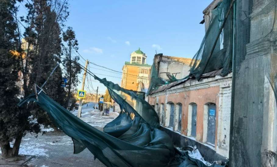 Дерево на Коммунаров упало из-за того, что подрядчик повредил корневую систему при &laquo;благоустройстве&raquo;!