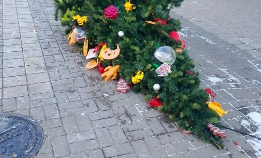 Дерево на Коммунаров упало из-за того, что подрядчик повредил корневую систему при &laquo;благоустройстве&raquo;!