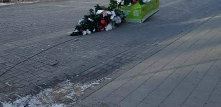 Дерево на Коммунаров упало из-за того, что подрядчик повредил корневую систему при «благоустройстве»!