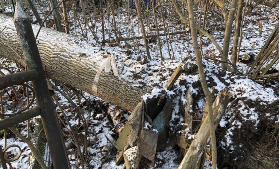 Общественность города Ельца требует возбудить уголовные дела по факту не выполнения контракта, причинению ущерба, мошенничества и превышению должностных полномочий!