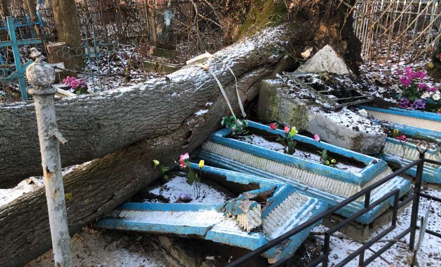 Общественность города Ельца требует возбудить уголовные дела по факту не выполнения контракта, причинению ущерба, мошенничества и превышению должностных полномочий!