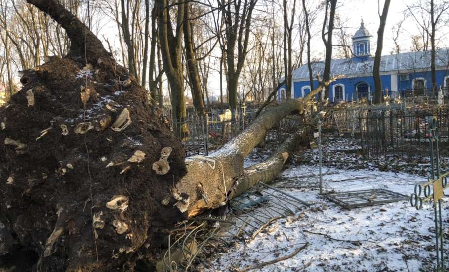 Общественность города Ельца требует возбудить уголовные дела по факту не выполнения контракта, причинению ущерба, мошенничества и превышению должностных полномочий!