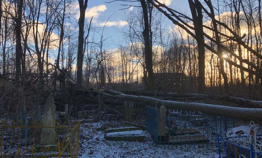 Общественность города Ельца требует возбудить уголовные дела по факту не выполнения контракта, причинению ущерба, мошенничества и превышению должностных полномочий!