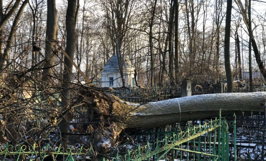 Общественность города Ельца требует возбудить уголовные дела по факту не выполнения контракта, причинению ущерба, мошенничества и превышению должностных полномочий!