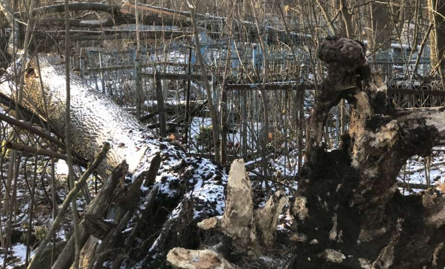 Общественность города Ельца требует возбудить уголовные дела по факту не выполнения контракта, причинению ущерба, мошенничества и превышению должностных полномочий!