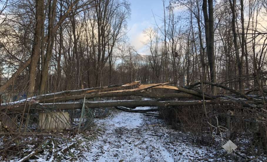 Общественность города Ельца требует возбудить уголовные дела по факту не выполнения контракта, причинению ущерба, мошенничества и превышению должностных полномочий!