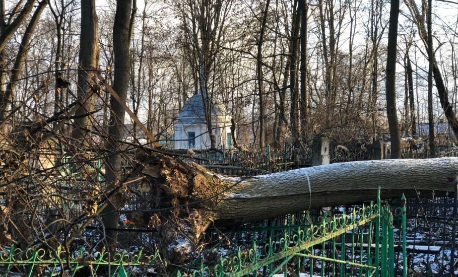 Общественность города Ельца требует возбудить уголовные дела по факту не выполнения контракта, причинению ущерба, мошенничества и превышению должностных полномочий!