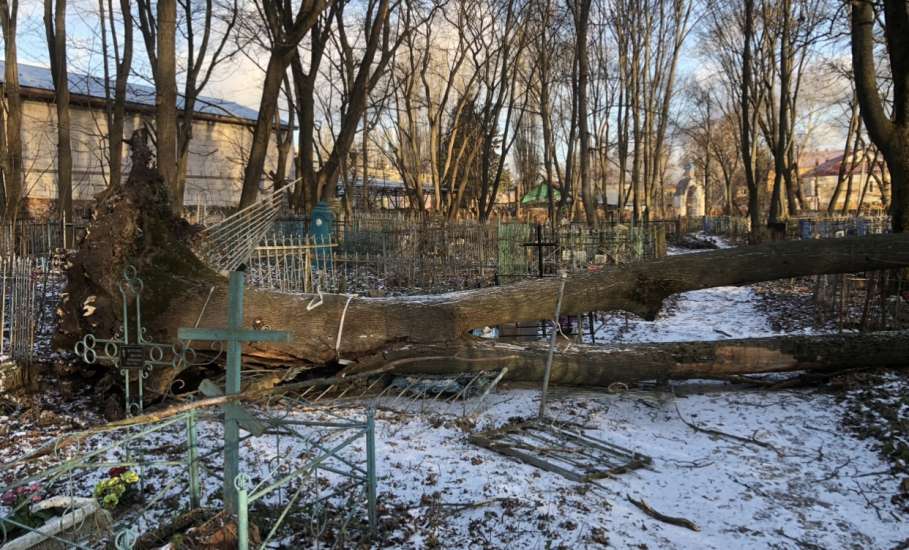 Общественность города Ельца требует возбудить уголовные дела по факту не выполнения контракта, причинению ущерба, мошенничества и превышению должностных полномочий!