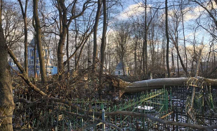 Общественность города Ельца требует возбудить уголовные дела по факту не выполнения контракта, причинению ущерба, мошенничества и превышению должностных полномочий!