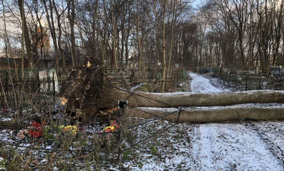 Общественность города Ельца требует возбудить уголовные дела по факту не выполнения контракта, причинению ущерба, мошенничества и превышению должностных полномочий!