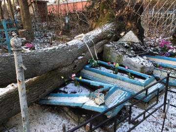 Общественность города Ельца требует возбудить уголовные дела по факту не выполнения контракта, причинению ущерба, мошенничества и превышению должностных полномочий!